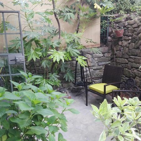 Le Ortensie Dolcedo Bagian luar foto